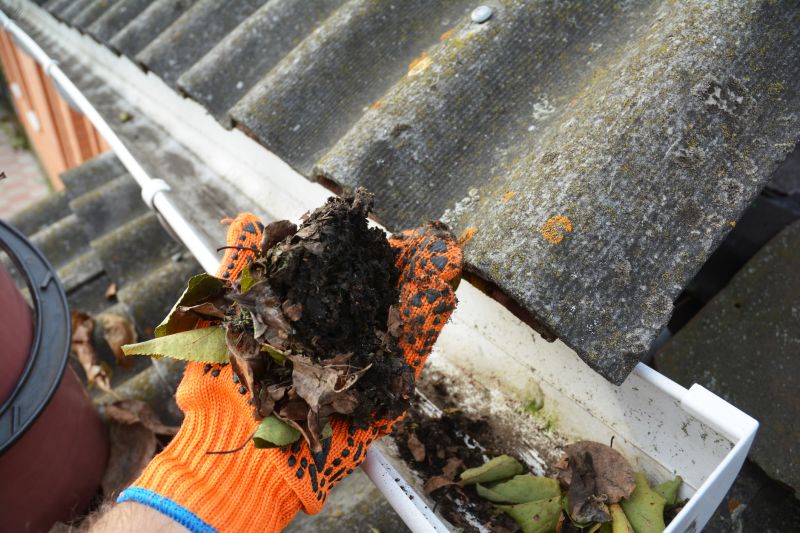 Commercial Downspout Cleaning in Denver County, CO