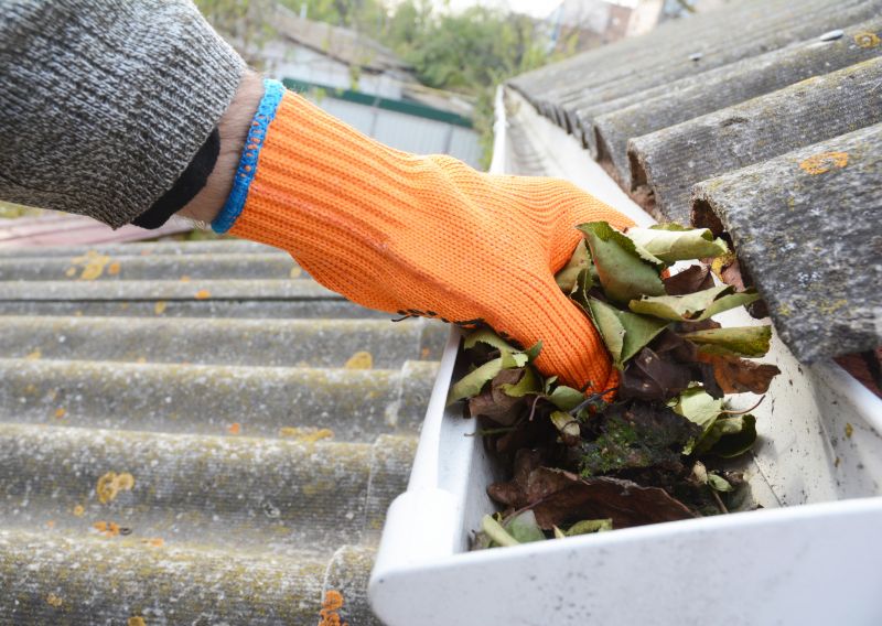 Gutter Leaf Clearing in Fredericksburg, VA
